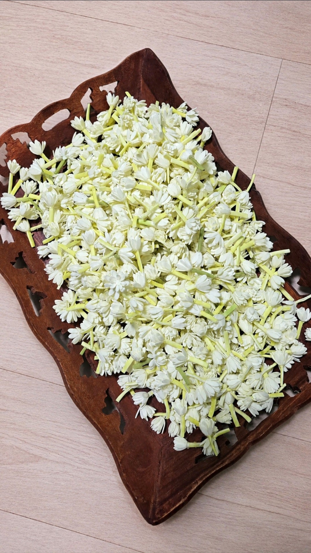 Double Layer Full Bloomed Mullai - Foam Buds