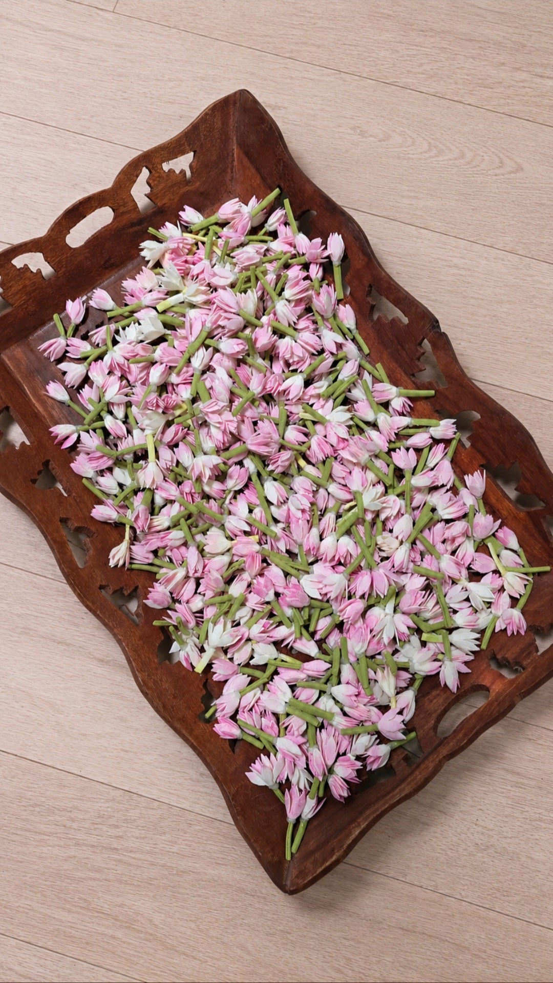 Jathi Poo - Semi Bloomed - Foam Buds