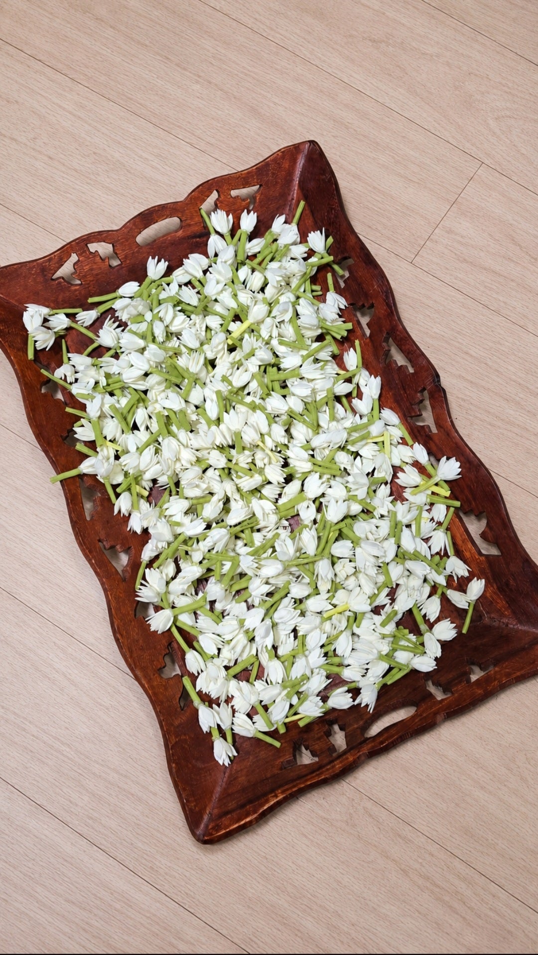 Pichi - Kakratan - Foam Buds