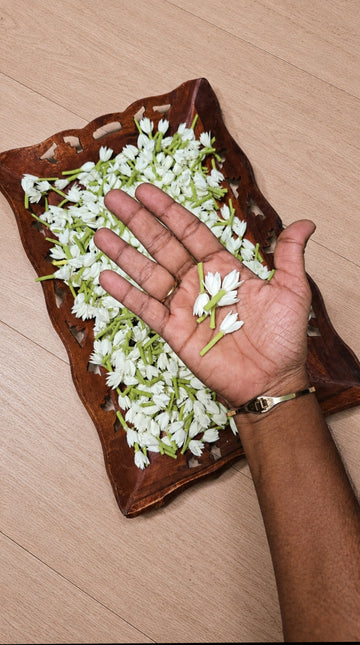 Pichi - Kakratan - Foam Buds