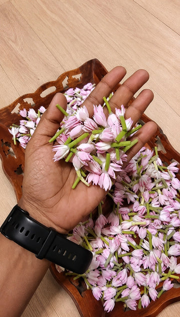 Jathi Poo - Semi Bloomed - Foam Buds