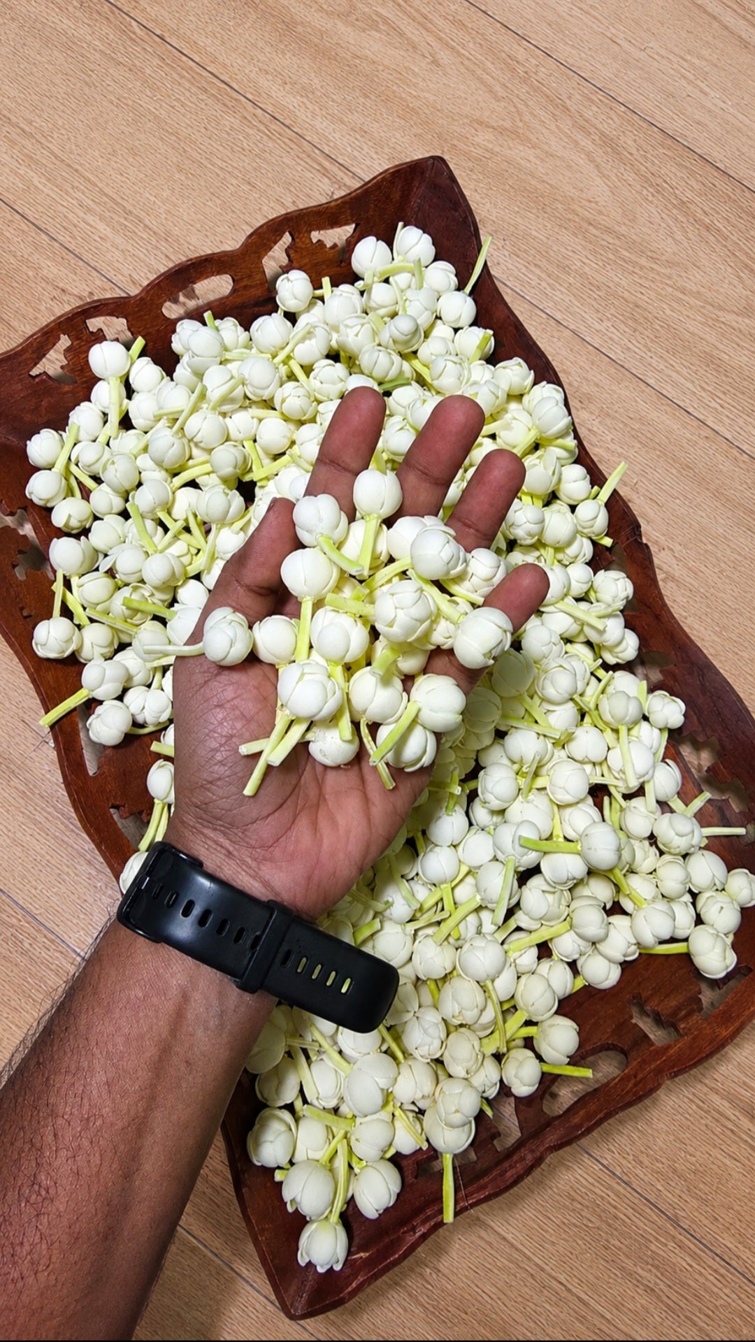 Bloomed Malli Double Layer String