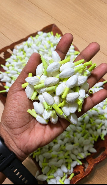 Mokku Malli Tissue Buds