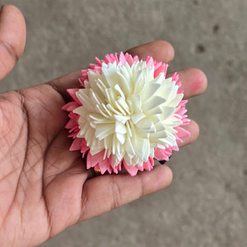 Jathi poo x Pichi Poo - Medium Size - Aligator / Hair Band