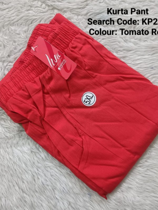 KP235 - Kurta Pant | Straigth Pants | Office wear | Daily Wear